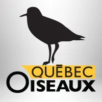 QuébecOiseaux